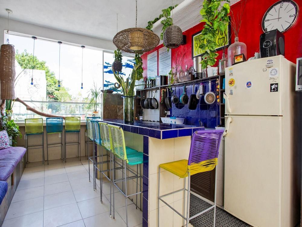 Hostelito Hotel 科苏梅尔 外观 照片